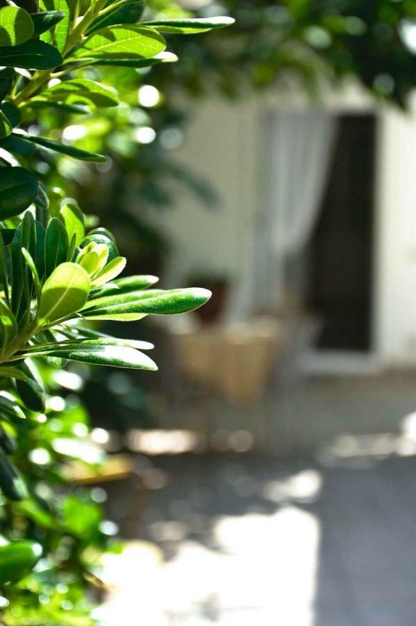 Green House Beach Hotel Mondello Bagian luar foto